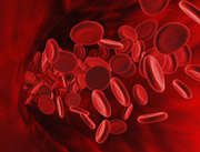 blood cells